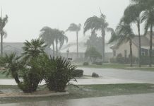 Ciclón Trudy se intensifica a huracán categoría 2 frente a las costas del Pacífico mexicano