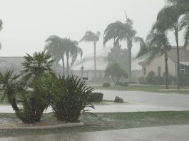 Ciclón Trudy se intensifica a huracán categoría 2 frente a las costas del Pacífico mexicano