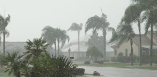 Ciclón Trudy se intensifica a huracán categoría 2 frente a las costas del Pacífico mexicano