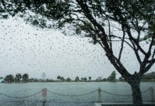 Intensas precipitaciones por el fenómeno El Niño dejan más de 22.000 afectadös y grâves dañös en Ecuador