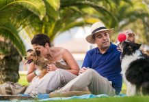 Industria del cuidado de mascotas en Venezuela estima proyectar ingresos con un alza del 34%