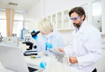 Científicos descifran la estructura molecular del hantavirüs andino y abren la vía para nuevos antivirales