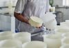 Producción de queso y mautes en Apure fortalece la distribución alimentaria nacional