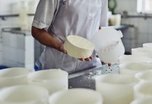 Producción de queso y mautes en Apure fortalece la distribución alimentaria nacional