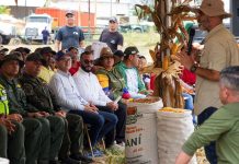 Anzoátegui se consolida como motor agroproductivo con la proyección de más de 78 mil toneladas de maíz en 2026
