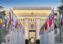 ONU aprueba iniciar las negociaciones para un protocolo mundial contra los delitös ambientales