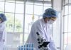 Científicos del IVIC desarrollan innovador método con nanoburbujas para la purificación de agua