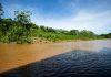 Crecida del río Paraguay amenaza con igualar las cotas críticas de la histórica emergenciä registrada en 1983