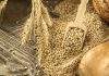FAO reporta alza global en los precios de los alimentos por encarecimiento de cereales, azúcar y aceites vegetales