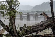 Alcaldía de Maracaibo despliega protocolo de emergenciâ tras fuertes lluvias y ráfagas de viento (+ Video)