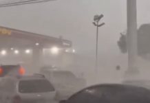 Maracaibo despliega atención integral en sus 18 parroquias las tras intensas lluvias de ayer
