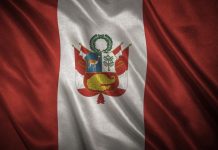 Perú y la OEA renuevan acuerdo estratégico para combatir el crimën organizado