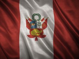 Perú y la OEA renuevan acuerdo estratégico para combatir el crimën organizado