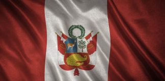 Perú y la OEA renuevan acuerdo estratégico para combatir el crimën organizado