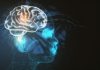 Estudio científico revela que la inteligencia artificial no procesa las oraciones como el cerebro humano