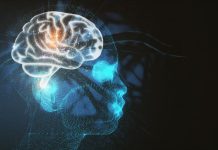 Estudio científico revela que la inteligencia artificial no procesa las oraciones como el cerebro humano