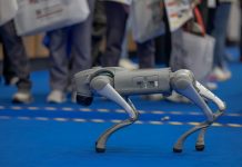 Científicos japoneses crean a «Hacchan», un robot que disuade osos mediante inteligencia artificial