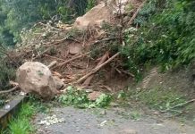 Anuncian cierre parcial de la carretera Maracay-Choroní por riesgøs geológicos tras intensas lluvias