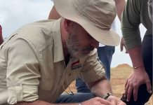 Autoridades inspeccionan jornada de cosecha de maní y maíz en la Mesa de Guanipa para impulsar la producción en Anzoátegui (+ Video)
