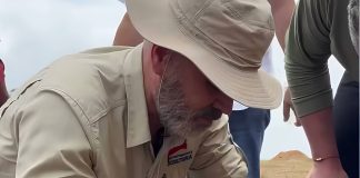 Autoridades inspeccionan jornada de cosecha de maní y maíz en la Mesa de Guanipa para impulsar la producción en Anzoátegui (+ Video)