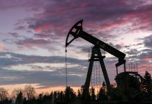 La OPEP+ evalúa reajustar su oferta petrolera tras la liberación masiva de reservas estratégicas del G7