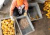 Gobernación de Miranda y sector privado impulsan la excelencia del cacao mirandino en los Valles del Tuy