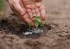 Venezuela avanza en la creación de su primer Plan de Financiamiento Climático ante el Fondo Verde para el Clima