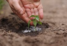 Venezuela avanza en la creación de su primer Plan de Financiamiento Climático ante el Fondo Verde para el Clima