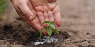 Venezuela avanza en la creación de su primer Plan de Financiamiento Climático ante el Fondo Verde para el Clima