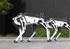 La policía de Kazajistán incorpora perros robot con reconocimiento facial para buscar sospechosøs
