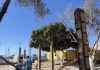 Alcaldía de Maneiro avanza en la construcción del nuevo Rincón de la Empanada en Pampatar (+ Fotos)