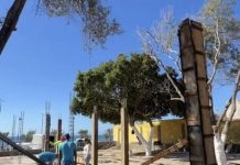Alcaldía de Maneiro avanza en la construcción del nuevo Rincón de la Empanada en Pampatar (+ Fotos)