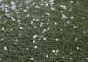 Temporal de lluvia, viento y granizo azotâ a Paraguay y genera severøs dañøs materiales