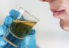 Investigadores acaban de clasificar los 30 olores más amados del mundo (+ Listado)
