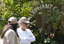 Venezuela y la India fortalecen alianza estratégica para la conservación de la fauna silvestre y el bienestar animal