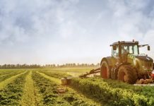 Nuevos aranceles de EE.UU. generarán pérdidas por 800 millones de dólares al sector agrícola de Chile