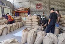 Mérida concreta tercera exportación del año con el envío de 19,2 toneladas de café a Australia