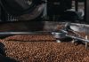 Producción de café en Venezuela proyecta un crecimiento del 15% para la cosecha 2026-2027