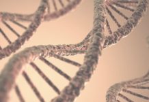 Identifican seis genes clave para predecir la supervivencia en la leucemia mieloide aguda