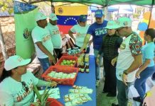 Plan Venezuela Alimenta atendió a más de 7.200 familias en Nueva Esparta