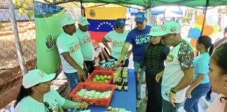 Plan Venezuela Alimenta atendió a más de 7.200 familias en Nueva Esparta