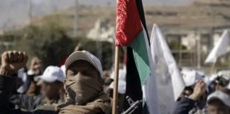 Fuerzas Armadâs de Yemen repelen avance de tropas hacia el estrecho de Bab el-Mandeb