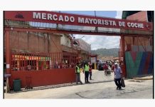 Mercado Mayorista de Coche registra récord de ingreso de alimentos en lo que va de 2026