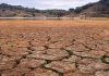 Severâ sequía e impacto de El Niño agravän la crisïs de hambre en el sur de Madagascar