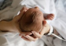 Desvelan cómo el nacimiento prematuro altera el cerebelo y compromete el desarrollo cerebral