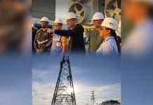 Gobernador Primitivo Cedeño afirmó que trabajan en instalación de auto transformador de potencia de 300MW para estabilizar sistema eléctrico